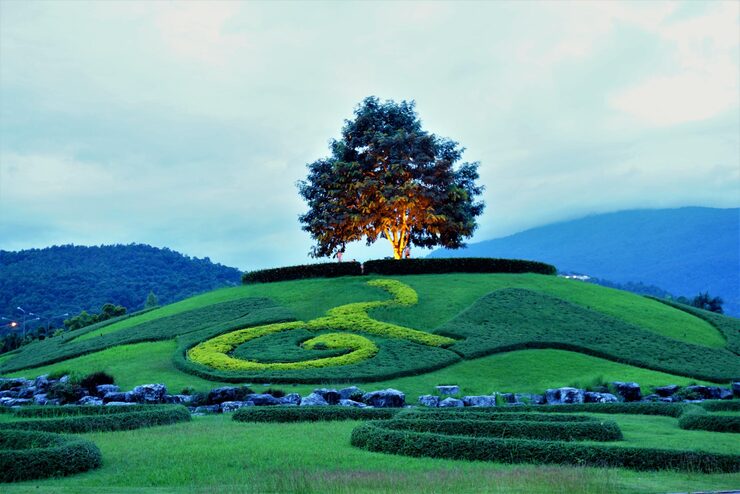 trees-field-against-sky_1048944-28976457