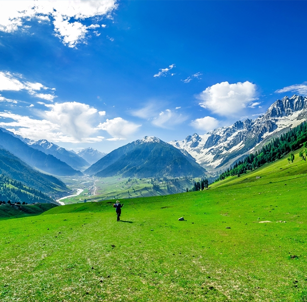 kashmir-green-blue-wow