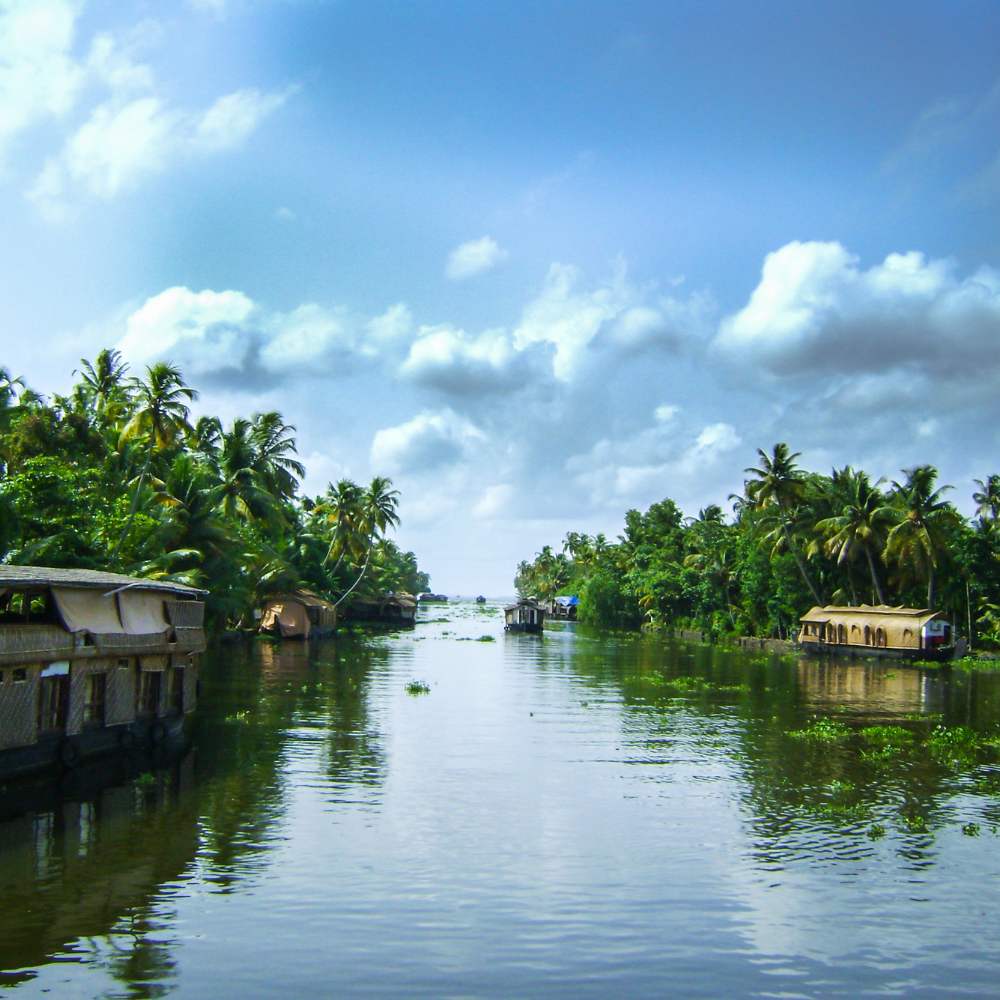 Kerala monsoon tour packages – backwaters, Munnar hills & Ayurveda retreat